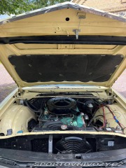 Ostatní značky Ostatní modely Chysler 300 Sport 1966