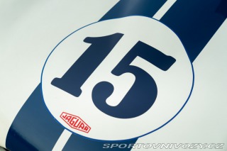 Jaguar D-Type Replica 1977