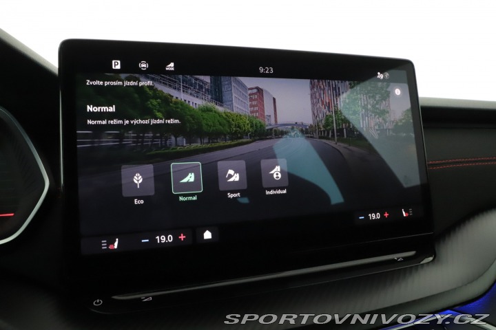 Škoda Octavia RS RS RS 2.0 TSI 2024