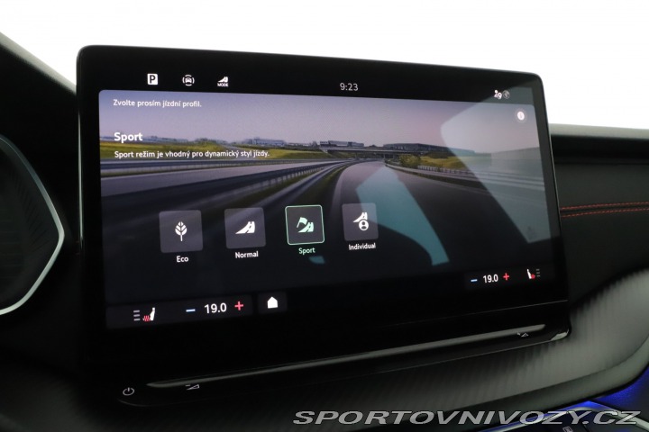 Škoda Octavia RS RS RS 2.0 TSI 2024