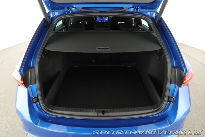 Škoda Octavia RS RS RS 2.0 TSI 2024