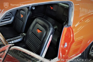 Ford Mustang Fastback GT V8 / V ČR 1967