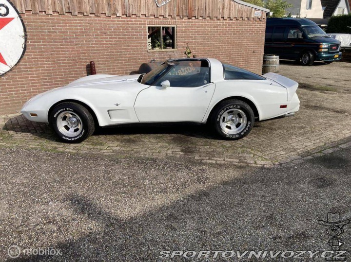 Chevrolet Corvette C3 V8 Targa 1979