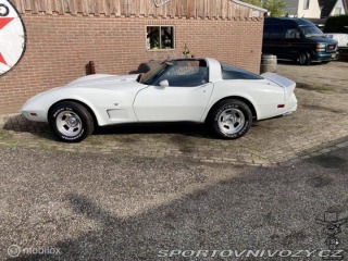 Chevrolet Corvette C3 V8 Targa 1979