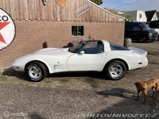 Chevrolet Corvette C3 V8 Targa 1979