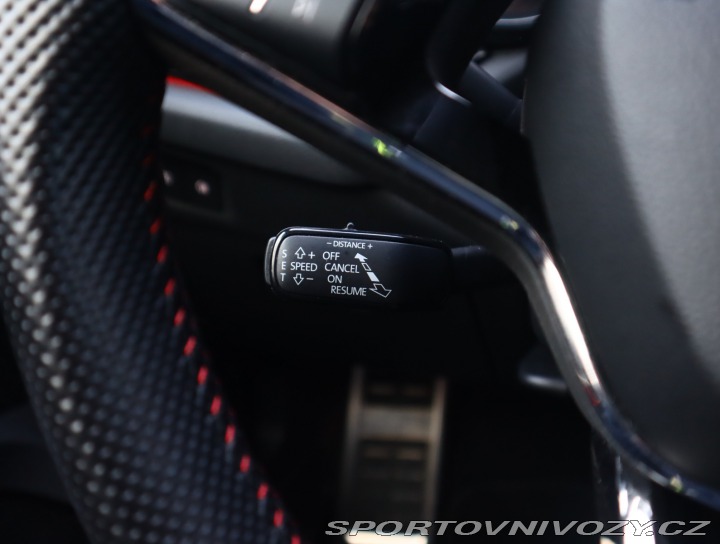 Škoda Octavia RS RS RS 2.0 TDI 4x4 2023