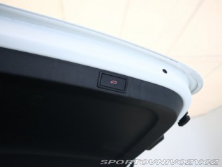 Škoda Octavia RS RS RS 2.0 TDI 4x4 2023