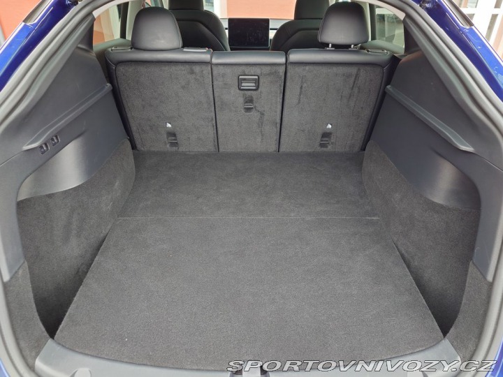 Tesla Model Y Long Range Dual Motor 378 2022