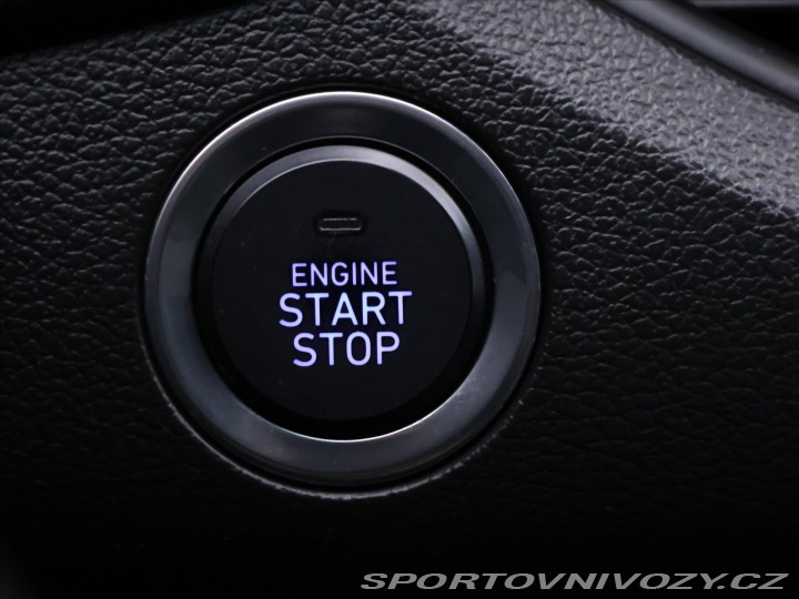 Hyundai i30 N 2,0 T-GDI 202kW N Perform 2019