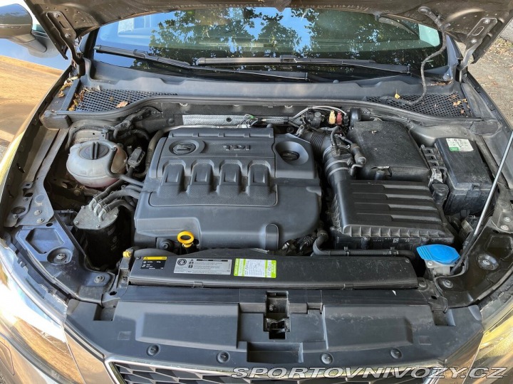 Seat Leon 2,0 X-Perience, TDI 4x4 2014