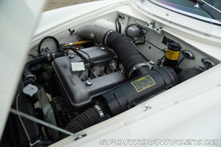 Alfa Romeo Giulia 1.6 SS BERTONE 1964