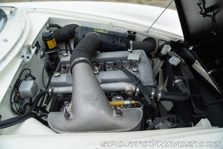 Alfa Romeo Giulia 1.6 SS BERTONE 1964