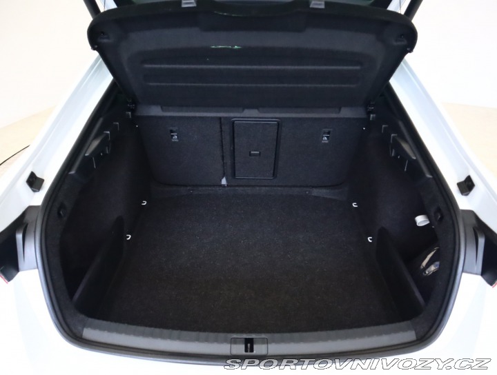 Škoda Octavia RS RS RS 2.0 TDI 4x4 2023