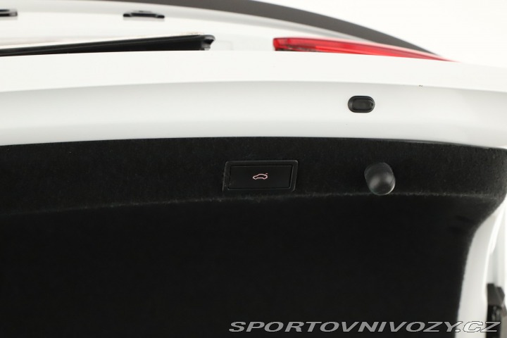 Škoda Octavia RS RS RS 2.0 TSI 2021