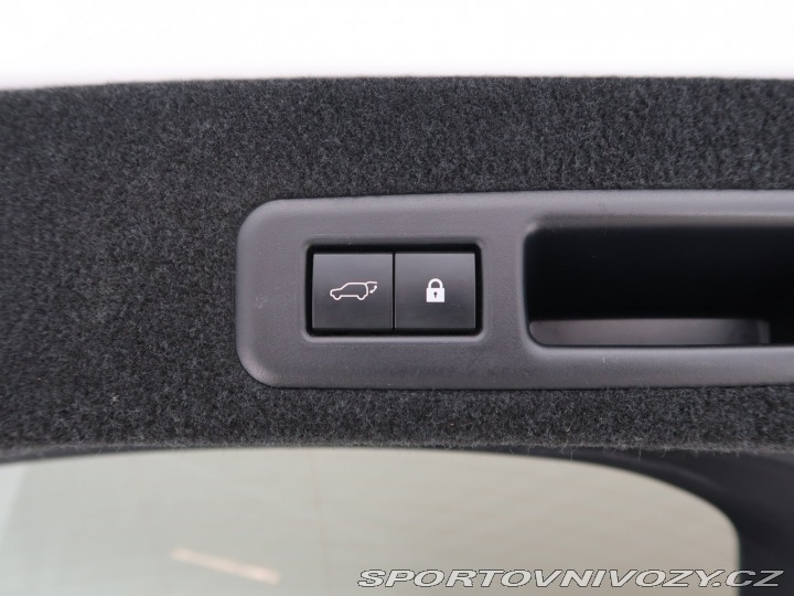 Lexus Ostatní modely RX F-Sport 450 h 2020