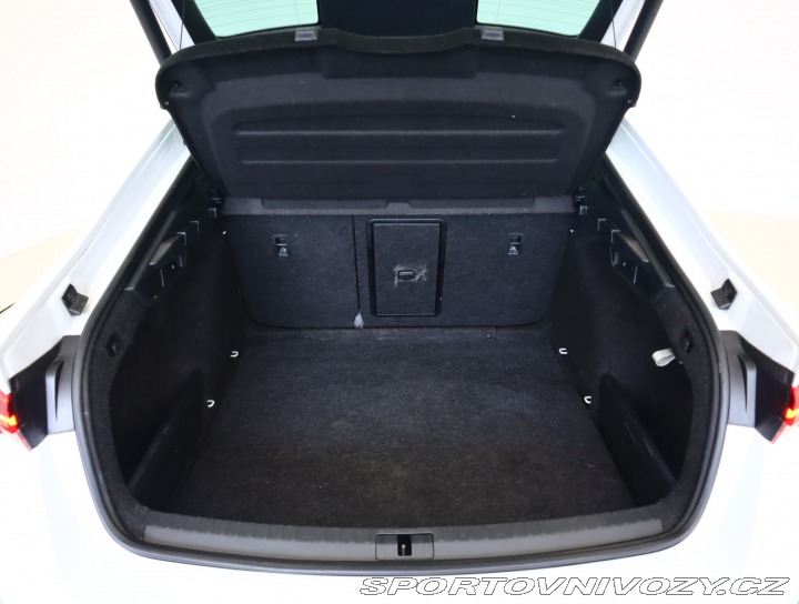 Škoda Octavia RS RS RS 2.0 TDI 4x4 2023