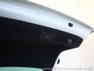 Škoda Octavia RS RS RS 2.0 TDI 4x4 2023