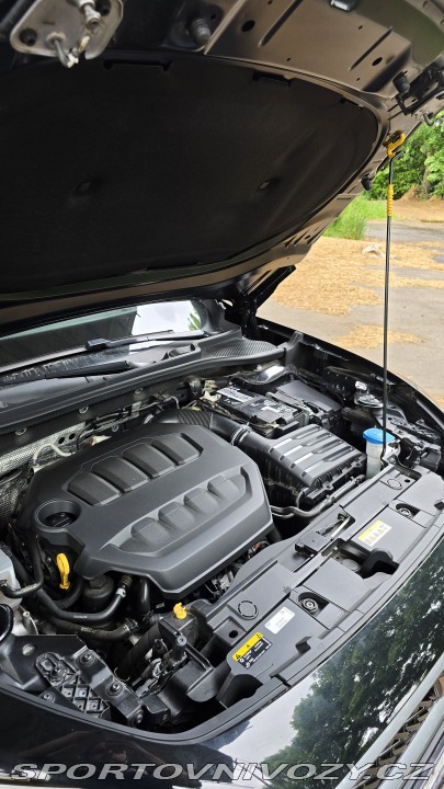 Cupra Formentor VZ 228kw 2021