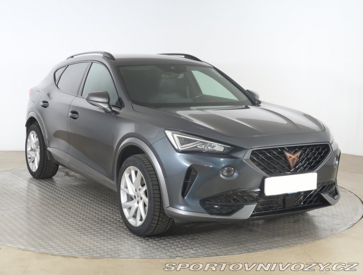 Cupra Formentor 2.0 TDI 2022