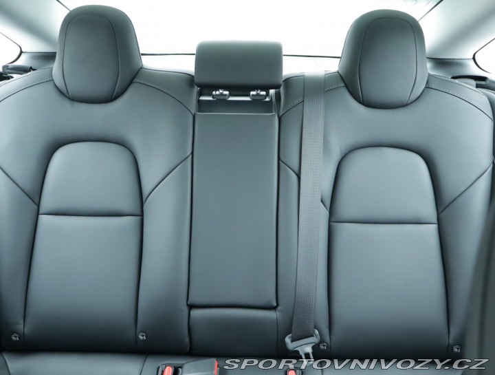 Tesla Model 3 Std Range Plus 52kWh 2020