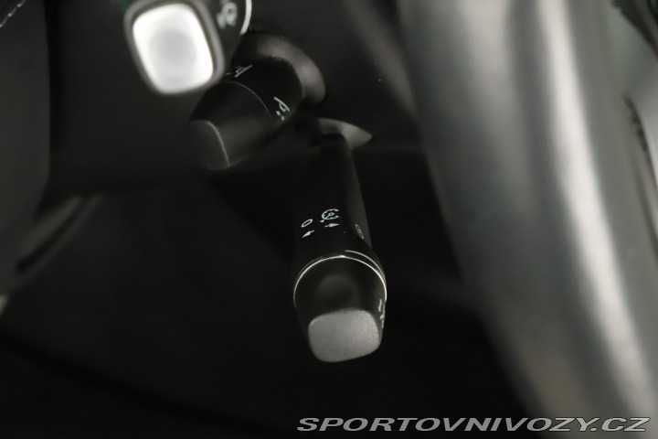 Tesla Model X Performance 2020