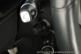 Tesla Model X Performance 2020