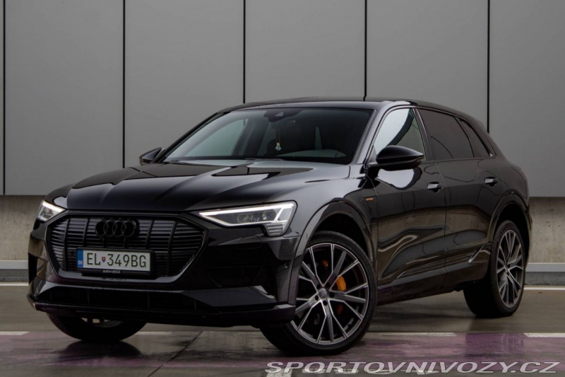 Audi Ostatní modely E-tron 55 quattro Advanced 300