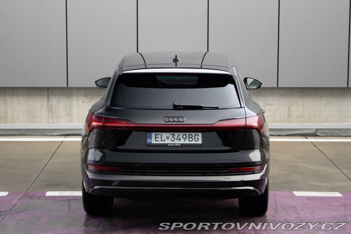 Audi Ostatní modely E-tron 55 quattro Advanced 300 2019