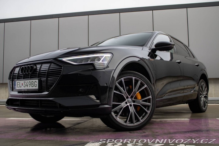 Audi Ostatní modely E-tron 55 quattro Advanced 300 2019