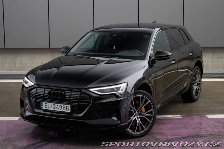Audi Ostatní modely E-tron 55 quattro Advanced 300 2019