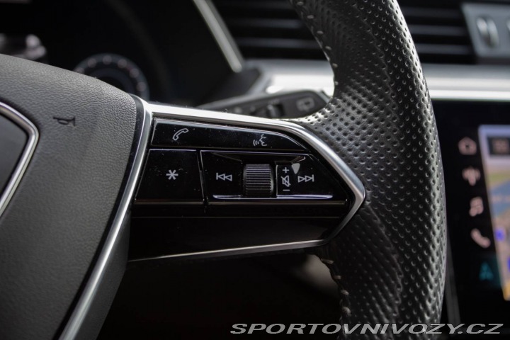 Audi Ostatní modely E-tron 55 quattro Advanced 300 2019