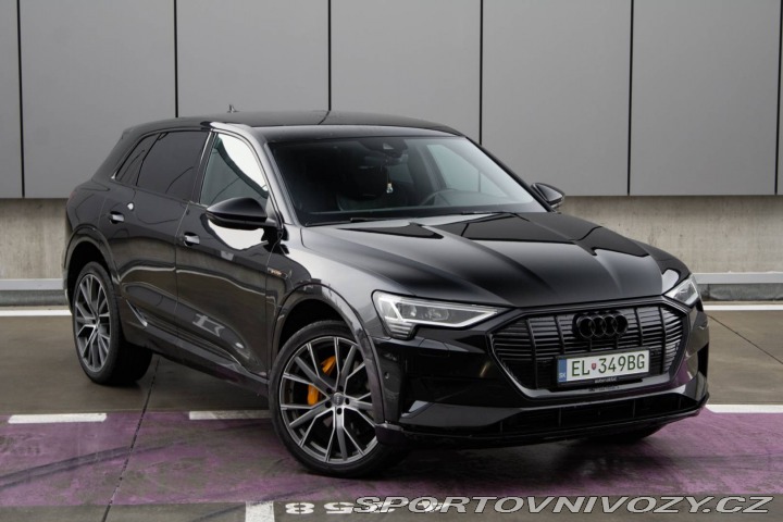 Audi Ostatní modely E-tron 55 quattro Advanced 300 2019