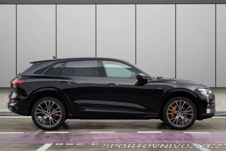 Audi Ostatní modely E-tron 55 quattro Advanced 300 2019