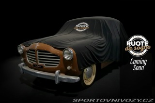 Fiat  1100 VIOTTI GIARDINETTA