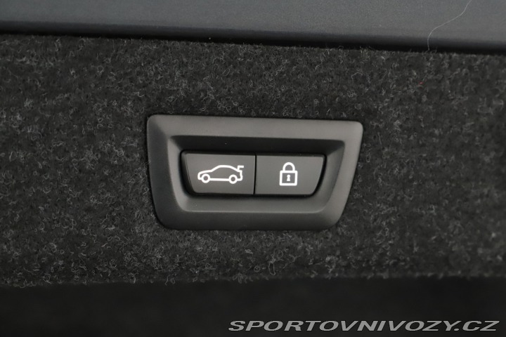 BMW 5 530d xDrive 2021