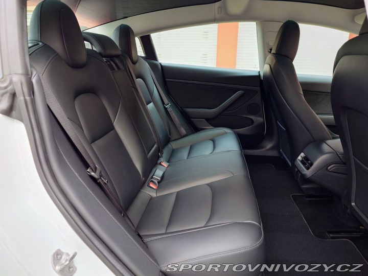 Tesla Model 3 Standard Plus 239 kW SOH 2021