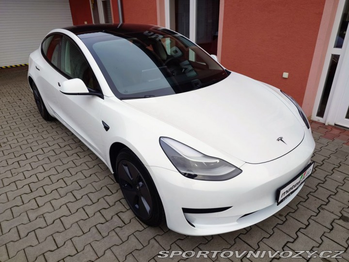 Tesla Model 3 Standard Plus 239 kW SOH 2021