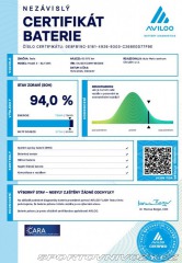 Tesla Model 3 Performance 377 kW SOH 94 2021