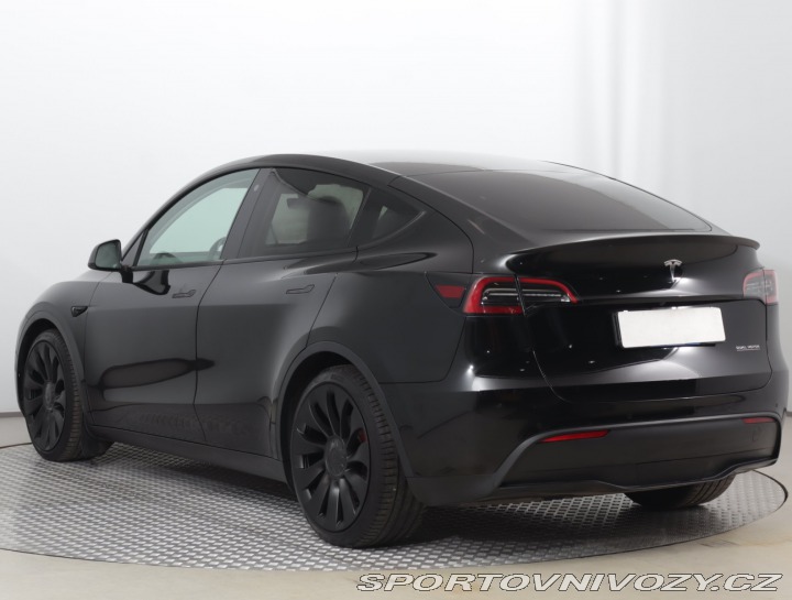 Tesla Model Y Performance 79kWh 2022