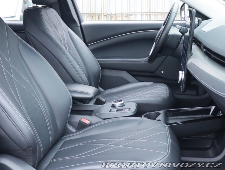 Ford Mustang Mach-E  Standard Range RW 2021