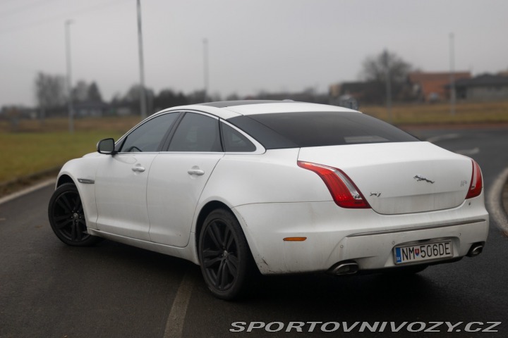 Jaguar XJ 3.0 V6 DIESEL Premium Lu 2011