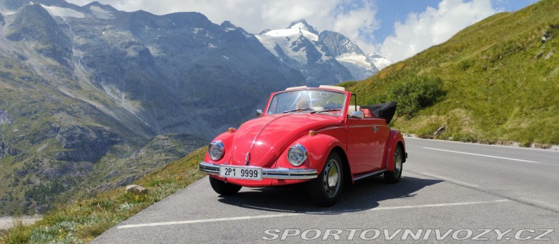 Volkswagen Brouk 1302