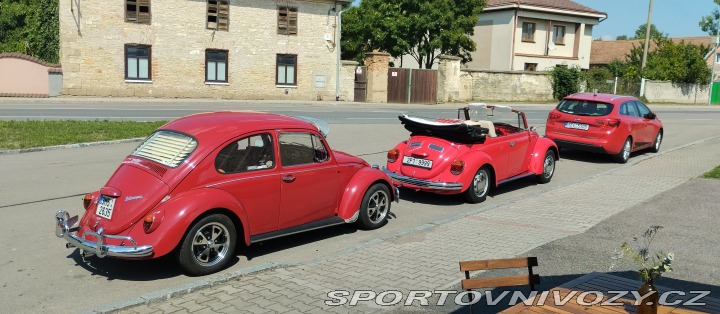 Volkswagen Brouk 1302 1971