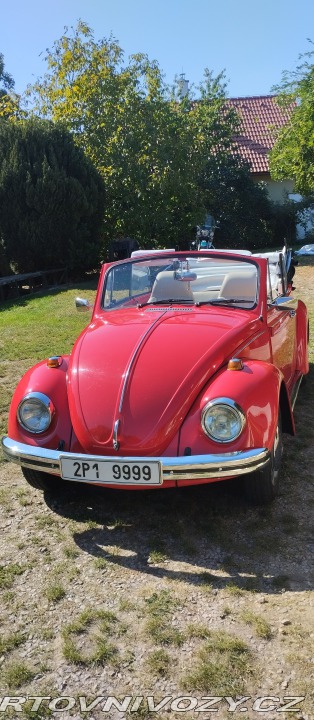 Volkswagen Brouk 1302 1971