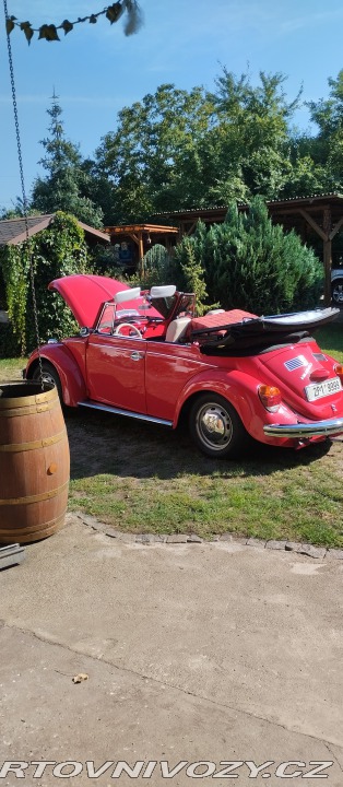 Volkswagen Brouk 1302 1971