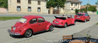 Volkswagen Brouk 1302 1971