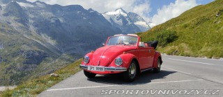 Volkswagen Brouk 1302 1971
