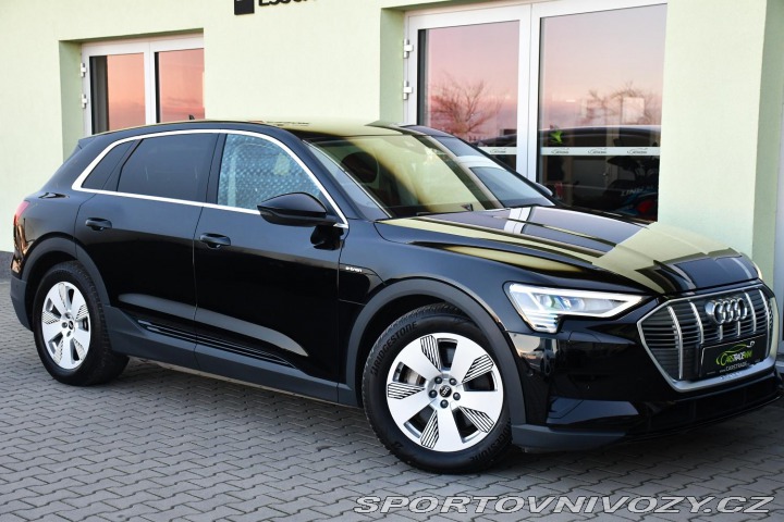 Audi Ostatní modely e-tron 50 2022