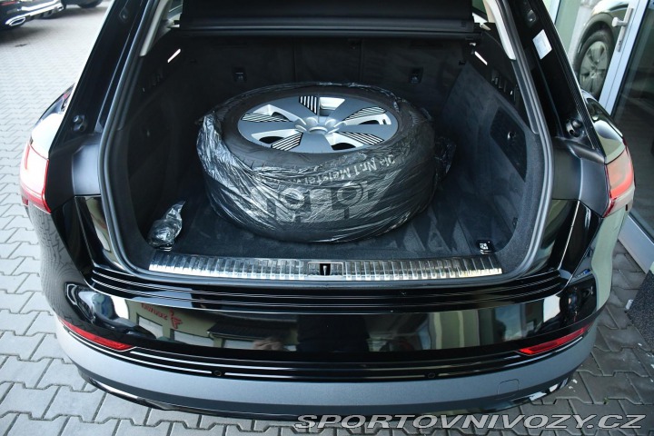 Audi Ostatní modely e-tron 50 2022