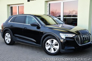 Audi Ostatní modely e-tron 50 2022